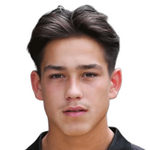 布鲁特
