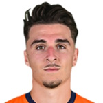若里斯·肖塔尔