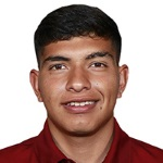 K.卡斯塔涅达